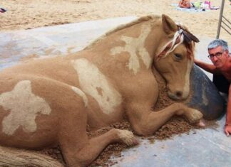 Un artist creează animale din nisip atât de incredibil detaliate încât par aproape reale. Iată cum arată 12 dintre ele