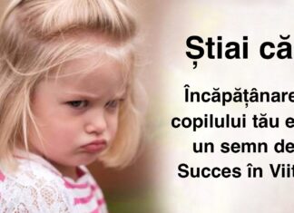 Copilul tău încăpățânat are mai multe șanse de a avea succes și de a fi mai bogat decât ceilalți copii, spune un studiu. Iată de ce: