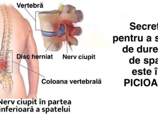 Secretul pentru a scăpa de durerile de spate este în picioare: 5 exerciții care vor repara totul