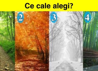 TEST: Alege o cale și vezi ce spune alegerea ta despre tine și personalitatea ta