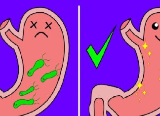 Cum să scapi de Helycobacter Pylori și de bacteriile care provoacă arsuri la stomac și balonare