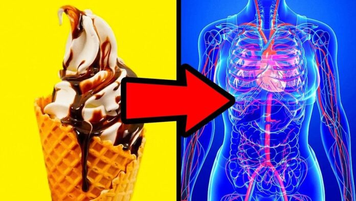 stop-eating-sugar