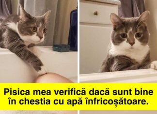 20 De fotografii care dovedesc că animalele de companie sunt ființe profund afectuoase pentru care am face multe