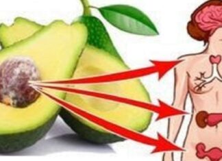 Ce se întâmplă cu corpul tău când mănânci avocado în fiecare zi? Avocado luptă împotriva cancerului, îți menține inima sănătoasă, te ajută să slăbești, luptă cu succes împotriva depresiei și multe altele