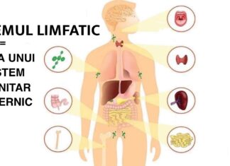 Sistemul limfatic este cheia unui sistem imunitar puternic, care te apără de boli și te menține sănătos. Iată cum să îl faci să funcționeze perfect