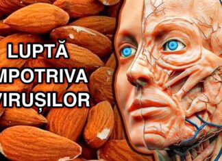 10 Alimente care îți pot crește imunitatea în mod natural