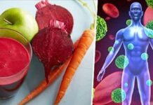 9 Alimente care elimină toate metalele grele din organism