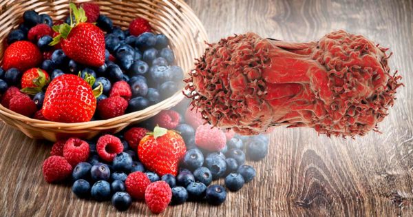 cancer-fighting-foods-e1503066743663