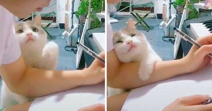 eee