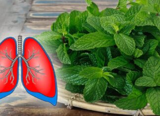 13 Plante puternice care vă curăță și vindecă plămânii și căile respiratorii, opresc tusea și ajută în caz de bronșită și astm