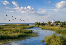 Delta Dunării – comoara României