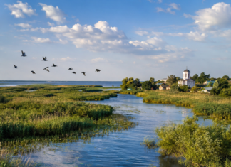 Delta Dunării – comoara României